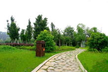 1780元起 鄭州 少林寺 焦作 萬(wàn)仙山 郭亮村 開(kāi)封 黃帝故里 淮南直航雙飛一周游,升級(jí)1晚掛牌五星酒店