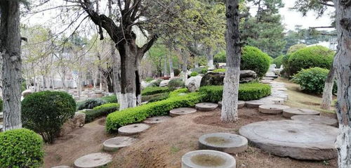 獨(dú)具南北園林特色兩千畝精品公園西安中園唐苑免費(fèi)開(kāi)放