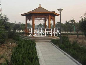 臨朐縣兆林園林雕塑廠 熱賣(mài)促銷(xiāo) 阿土伯網(wǎng)