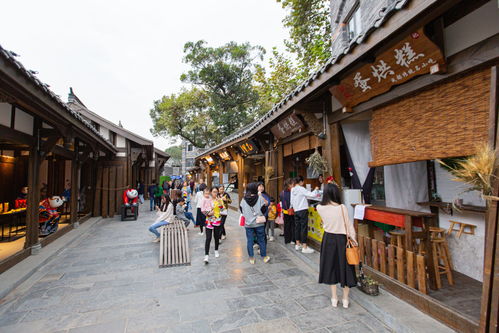 顏值與藝術(shù)齊飛,生態(tài)與繁華共融 錦江區(qū)這2條公園城市示范街區(qū)很精彩