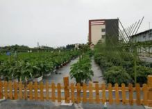 5月廣州免費(fèi)科普一日游又來了,這里有報名游玩全攻略