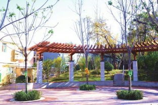 優中選優市中拆違建綠 十大精品 出爐 真金白銀最美 口袋公園 獎勵30萬元