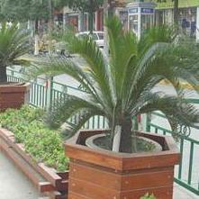 民昕園林環(huán)衛(wèi)設施實業(yè)