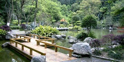 重慶峰宇園林建設(shè)|重慶園林規(guī)劃設(shè)計|重慶園林施工|重慶城市園林綠化|重慶花卉苗木|重慶園藝產(chǎn)品|重慶花木租售